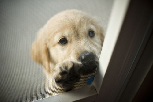Czemu mnie nie wpuścisz?