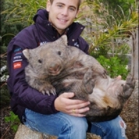 Mój przyjaciel Wombat