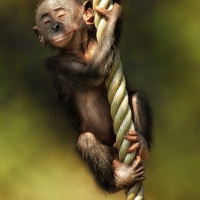 Zadowolona małpka