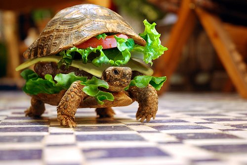 Żółwburger